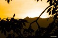 /album/la-montagne%3a-m%c3%aame-heure-%c3%a0-24h-pr%c3%a8s/montchavin-ete-2013-059-jpg/